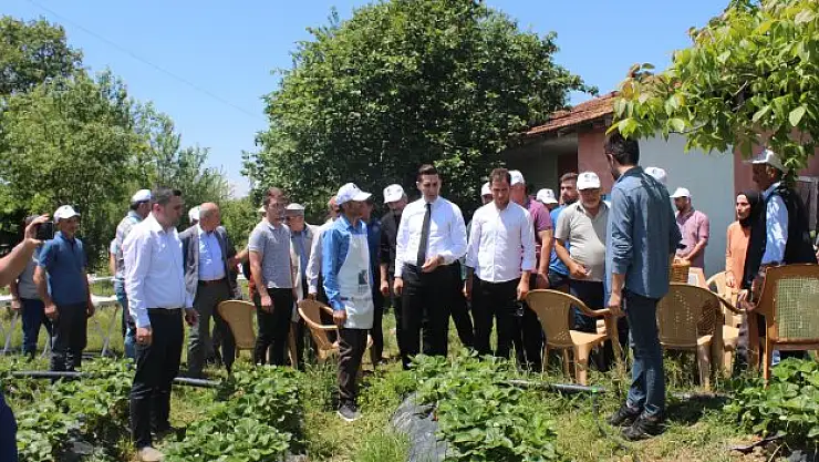 Çilek yetiştiriciliği eğitimi