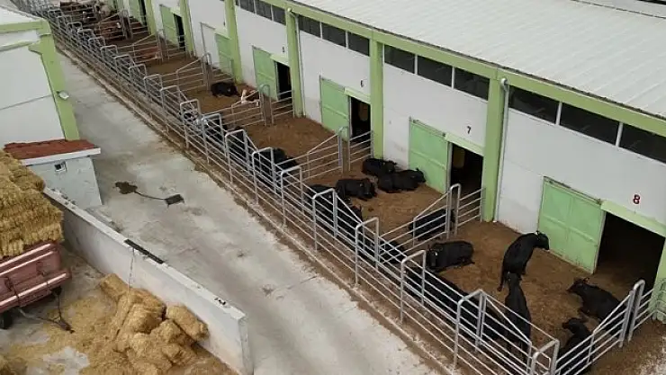 Et verimi %40 arttı