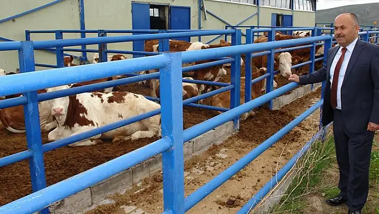 Kurbanlıkta yaşa dikkat