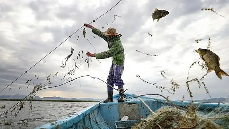 Su ürünleri üretiminde Cumhuriyet tarihi rekoru