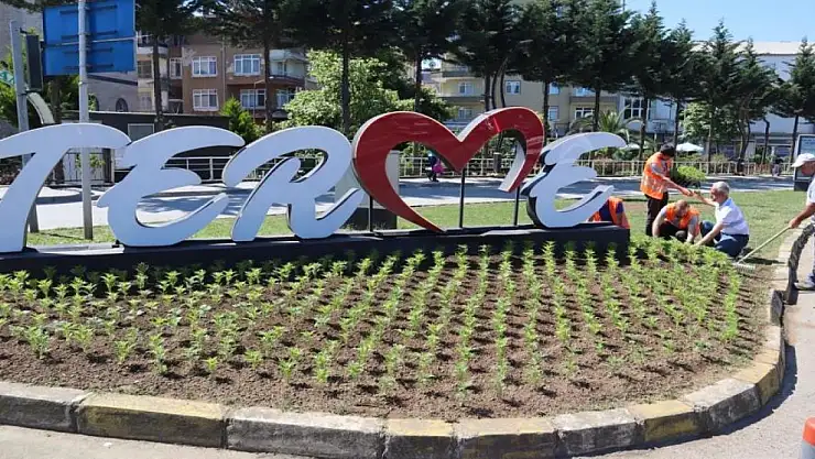 Kendi ürettiği çiçekleri dikiyor