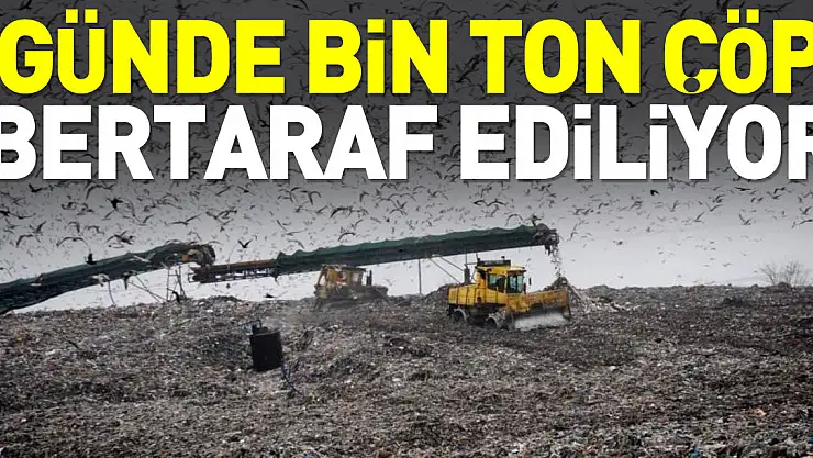 Günde bin ton çöp bertaraf ediliyor