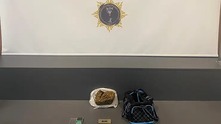 421 gram skunk ele geçirildi