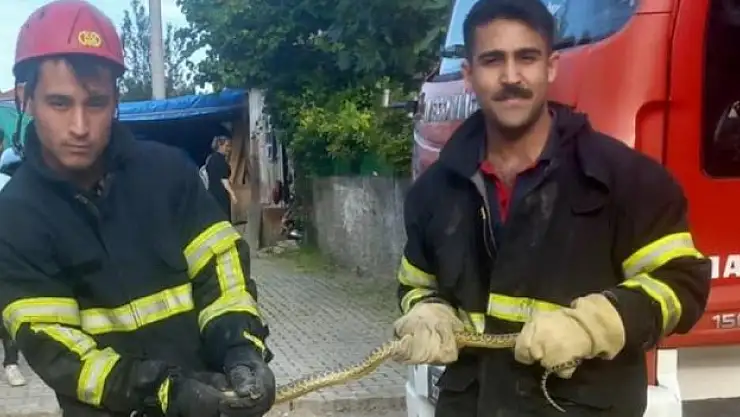 İtfaiyeciler yılan mesaisinde