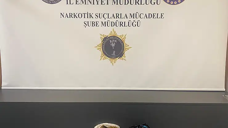 Uyuşturucu operasyonuna yakalama