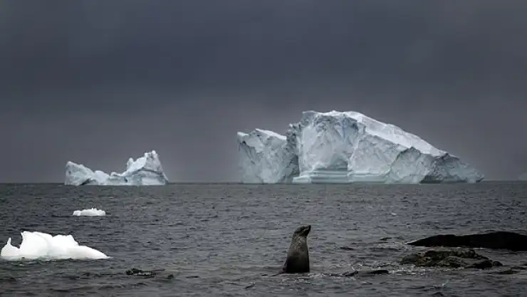 Isınan su buzulları eritiyor