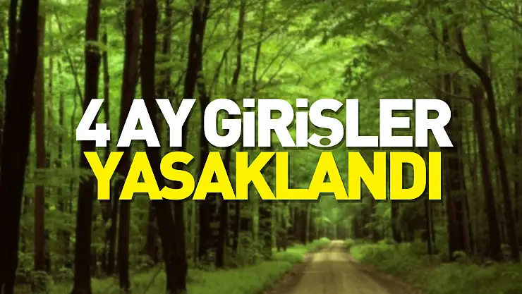 4 ay girişler yasaklandı