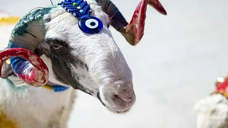 Kurban Bayramı 16 Haziran Pazar günü başlayacak