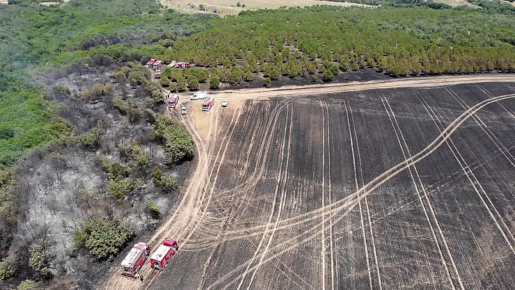 80 dönümlük arazi, yangında zarar gördü