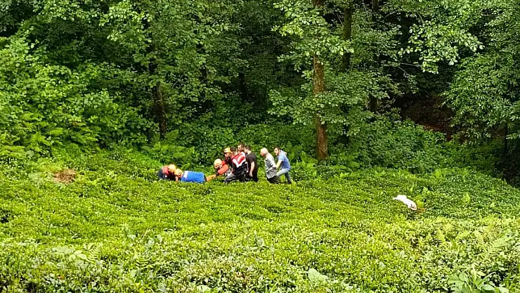 Odun keserken dereye yuvarlandı