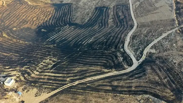 Diyarbakır ve Mardin arasında anız yangını: 5 ölü