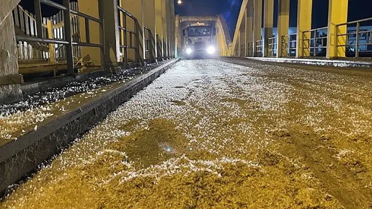 Birgün sineklerinin 'ölüm uçuşu' başladı