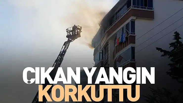 Çıkan yangın korkuttu