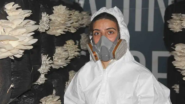 Mantar üretmeye başladı