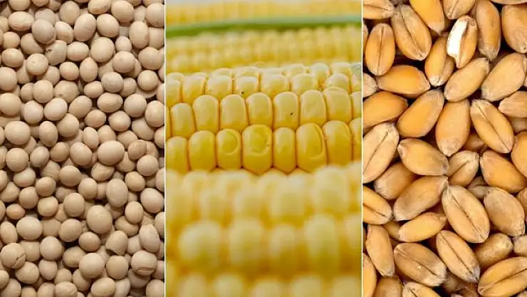 Emtia piyasası geçen hafta iç açıcı bir performans sergilemedi