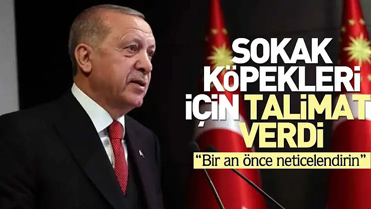 SOKAK KÖPEKLERİ İÇİN TALİMATI VERDİ