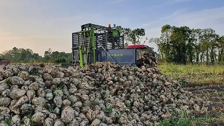 Pancar çiftçisine 709 milyon lira çapa avans ödemesi yapıldı