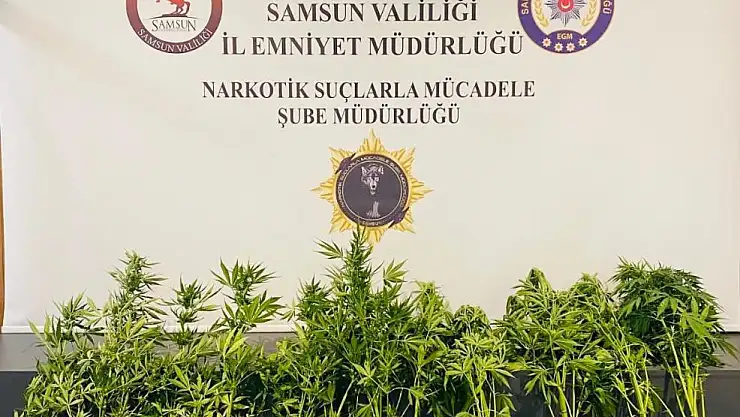 Emniyet göz açtırmıyor