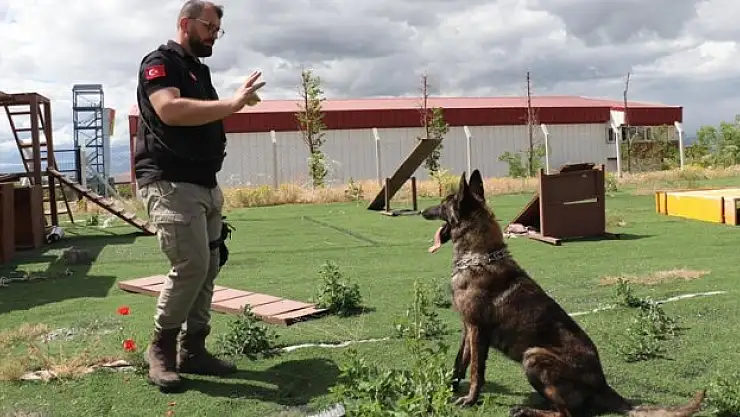 Ego, kahraman olmaya hazırlanıyor