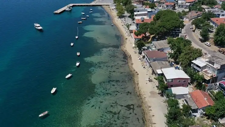 Koruma altındaki deniz çayırlarını söktürdüler