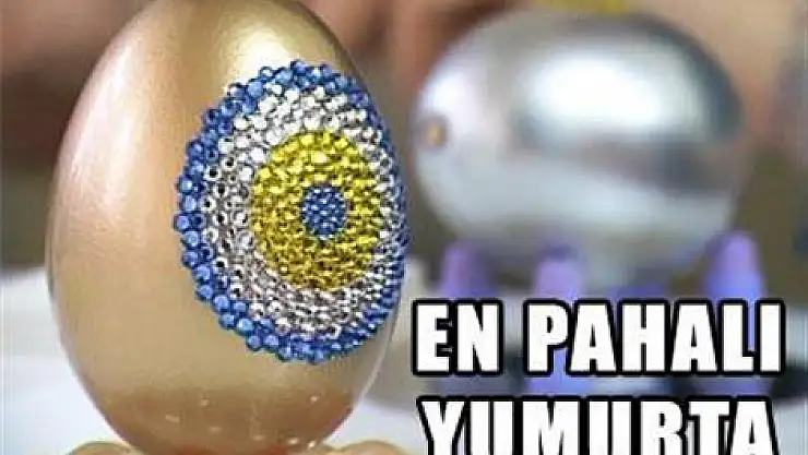 En değerli yumurta