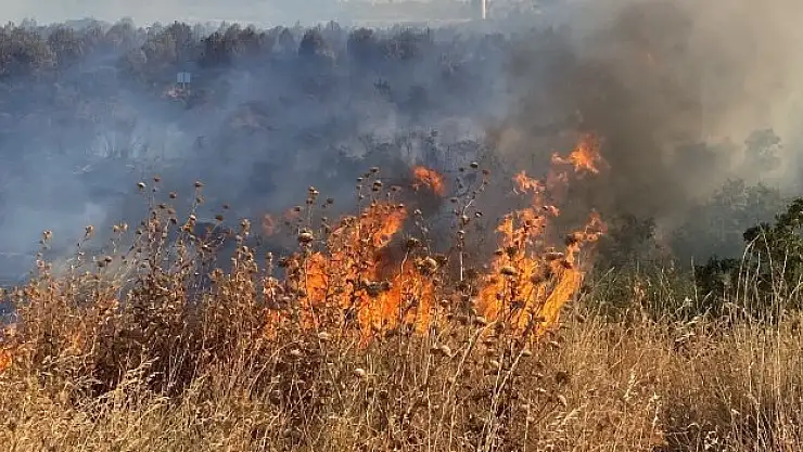 Ziraat odası çiftçileri uyardı