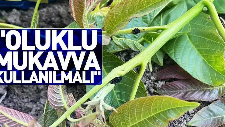 'Oluklu mukavva kullanılmalıdır'