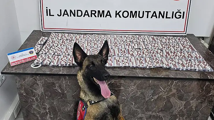 Uyuşturucu satıcılarına operasyon