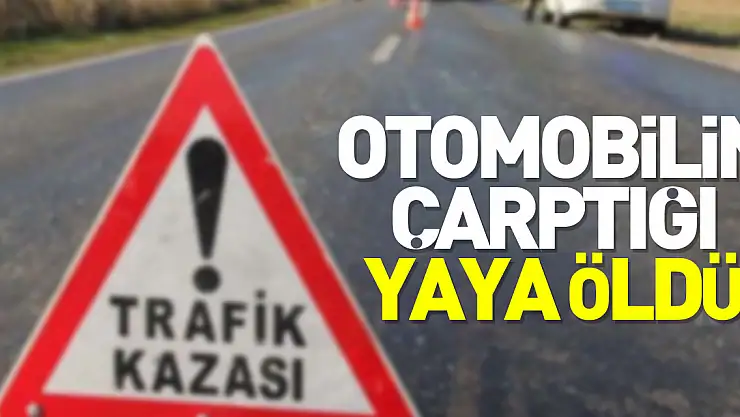 Otomobilin çarptığı yaya öldü