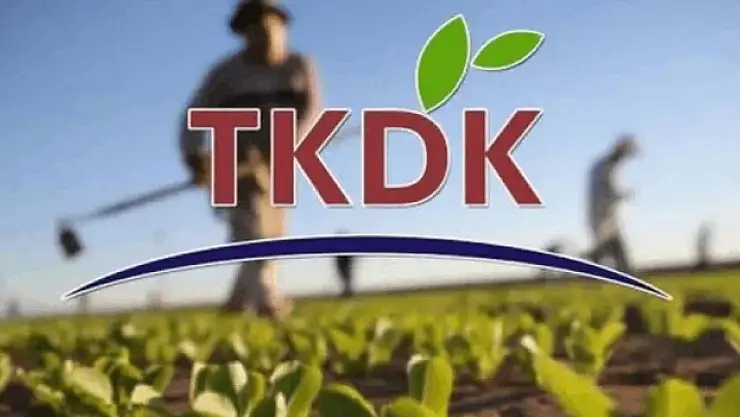 TKDK'dan 80 milyon euro hibe