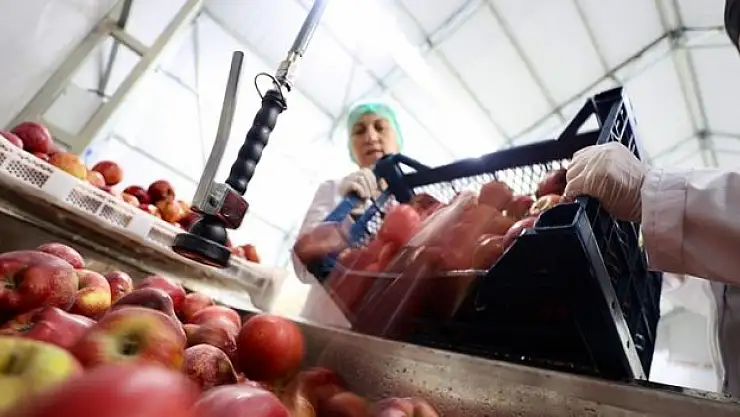 Bakan Bolat, kinci çağrı döneminin başladığını bildirdi