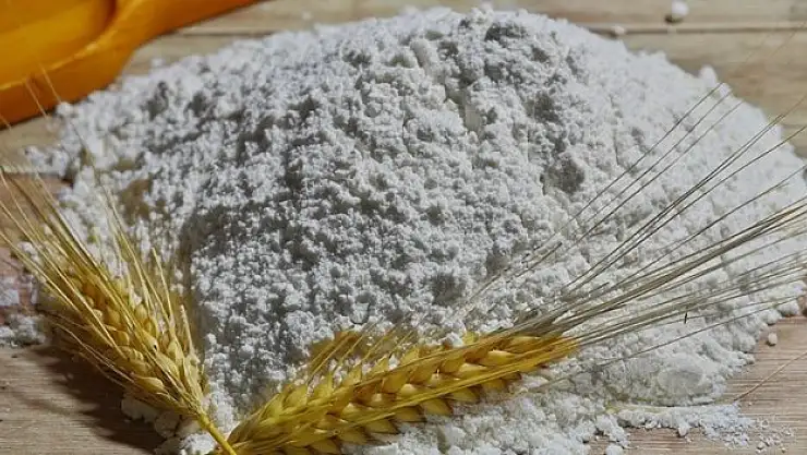 Un ihracatı yılın ilk yarısında yüzde 15 arttı