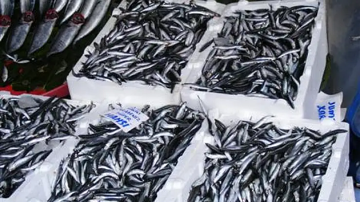 Hamsinin fiyatı tavan yaptı