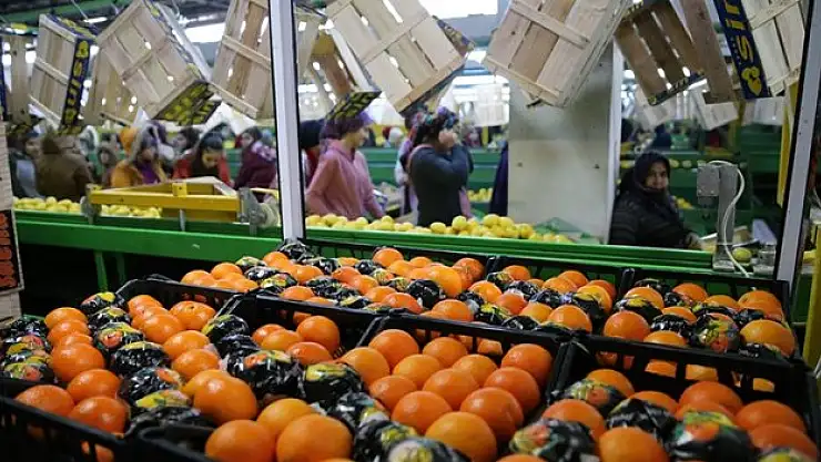 Yılın ilk yarısında 1,3 milyar dolarlık ihracat