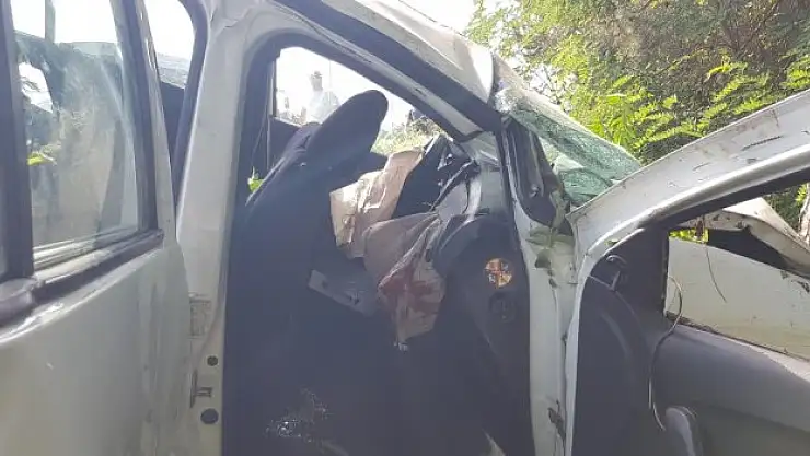 Kontrolden çıkarak ağaca çarptı