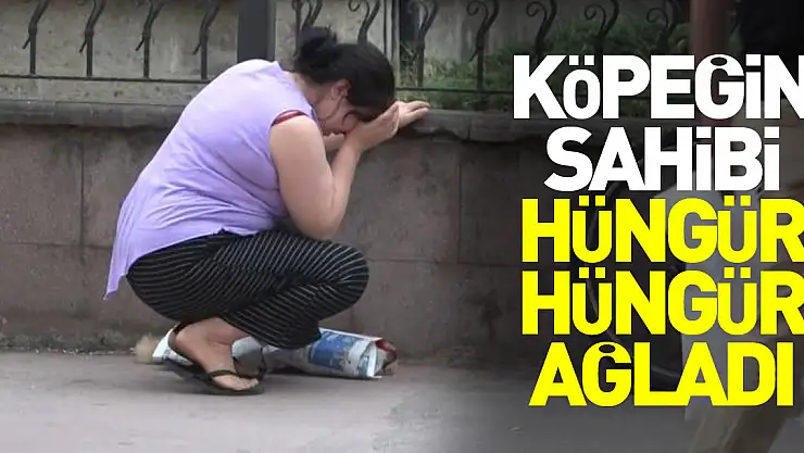 Köpeğin sahibi hüngür hüngür ağladı
