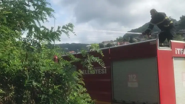 Anız yangını panik yaşattı