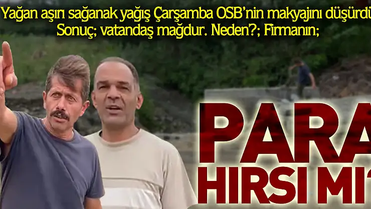 Para Hırsı mı?