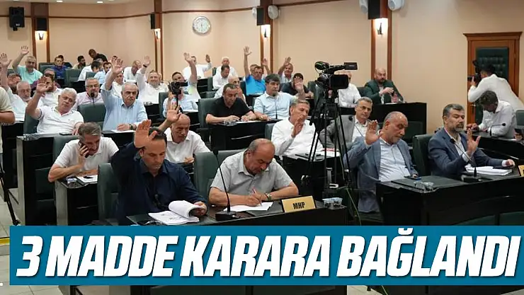 3 madde karara bağlandı!