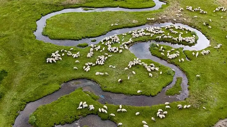 Göl ve menderesleri hayvancılığa hayat veriyor