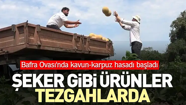 Şeker gibi ürünler tezgahlarda