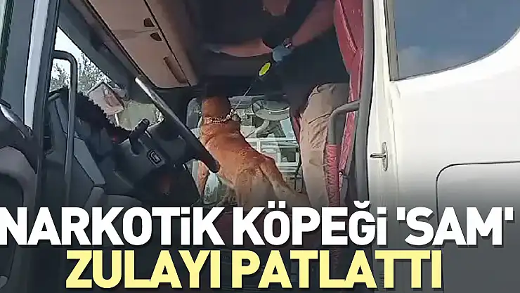 Narkotik köpeği 'Sam' zulayı patlattı