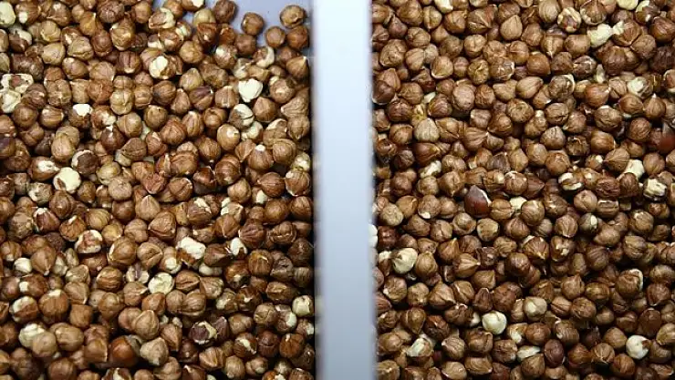 Türkiye, 307 milyon dolarlık fındık sattı