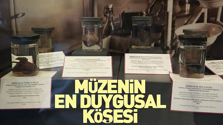 Müzenin en duygusal köşesi