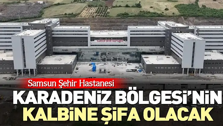 KARADENİZ BÖLGESİNE ŞİFA OLACAK