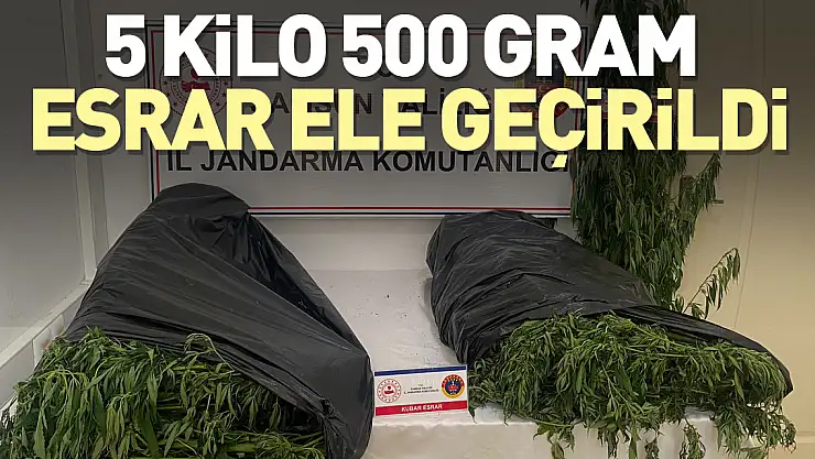 5 kilo 500 gram esrar ele geçirildi