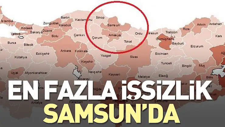 EN FAZLA İŞSİZLİK SAMSUN'DA