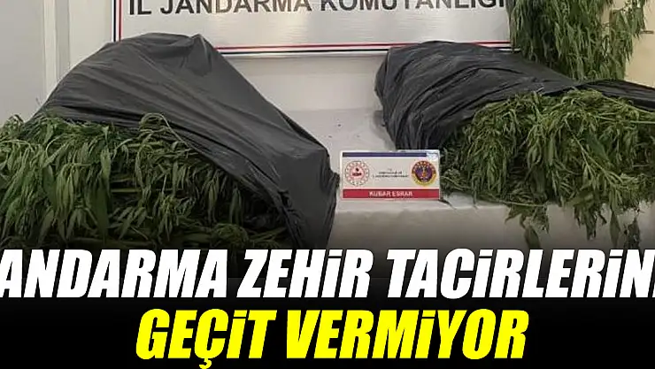 Jandarma zehir tacirlerine geçit vermiyor