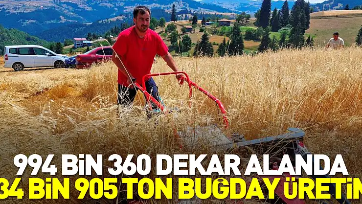 994 bin 360 dekar alanda 234 bin 905 ton buğday üretimi