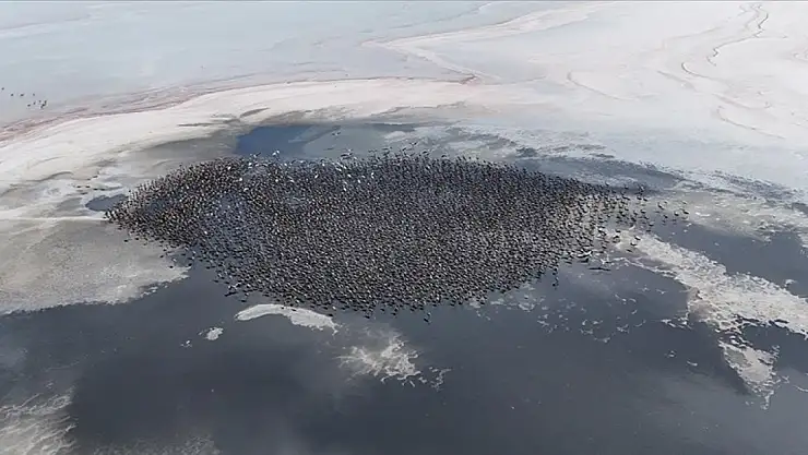 Tuz Gölü'nde büyüleyen görüntü!